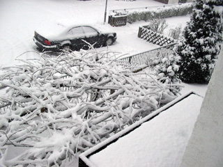 Neuschnee im Rodgau